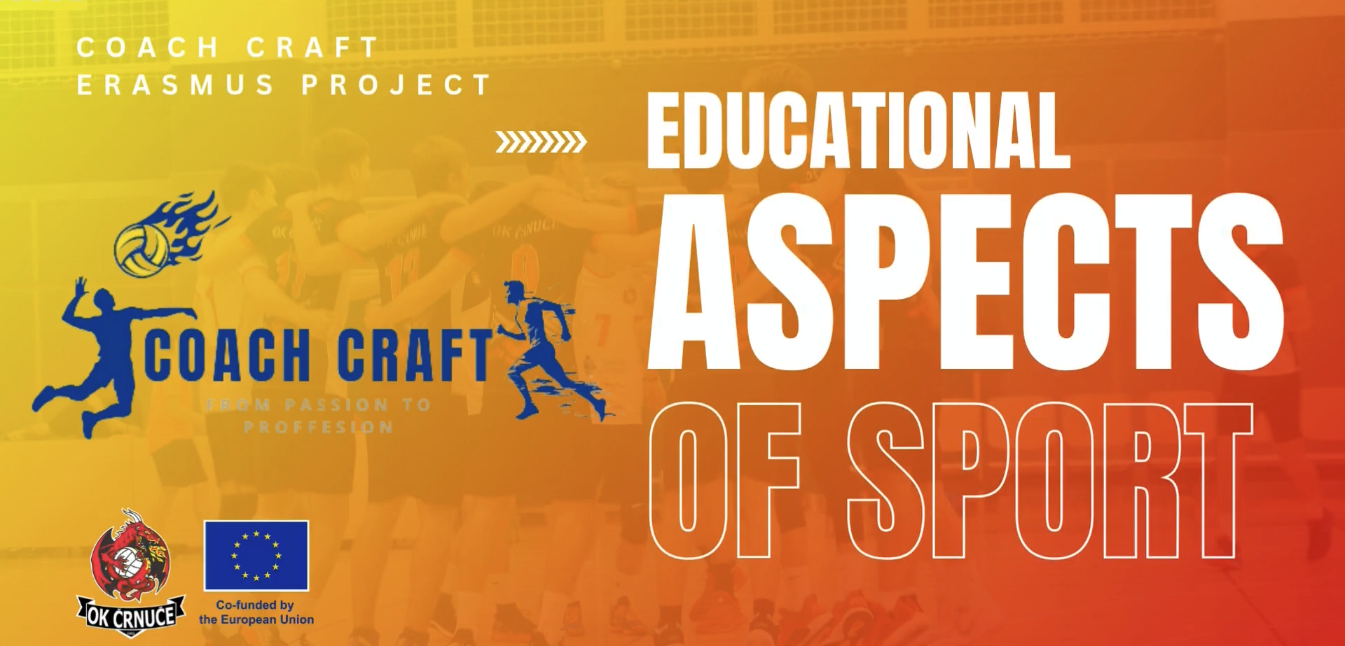 Educational aspects of sport